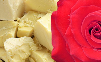 Aldehyde C-11 Undecanal