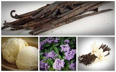 Heliotrope Base - Heliotropin Replacement