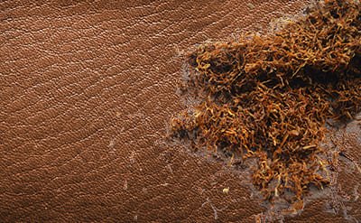 labdanum-absolute Labdanum