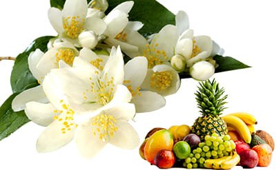 Jasmine Sambac Blossoms