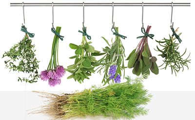 Caraway Seed Essential Oil