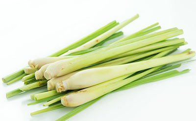 Citronella Essential Oil