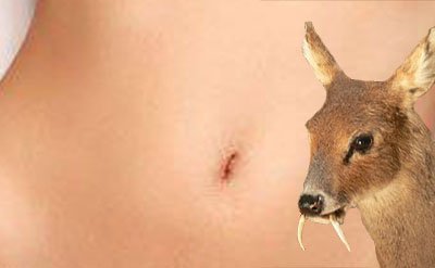 Musk Ketone 10% in DPG