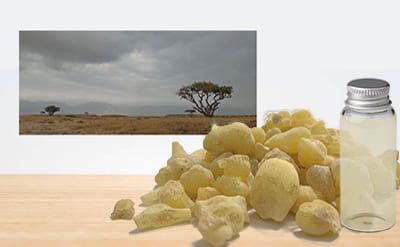 Olibanum Essential Oil (10% in DPG)