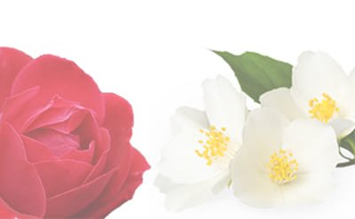 Dimethyl Benzyl Carbinol