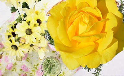 nerolidol (1) Nerolidol