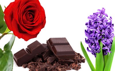 phenyl-ethyl-isoamyl-ether Phenyl Ethyl Isoamyl Ether