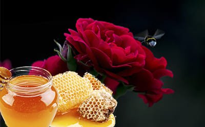 Phenyl Ethyl Phenyl Acetate 50% in DPG