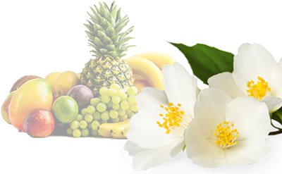 Dimethyl Benzyl Carbinyl Butyrate Dimethyl Benzyl Carbinyl Butyrate