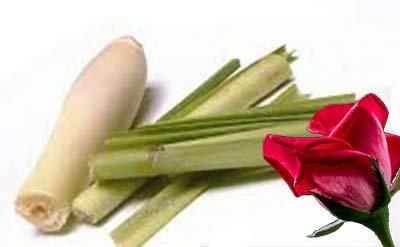 CitronellAL 10% in DPG