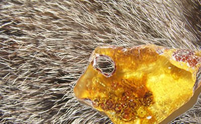 fixative-505 Fixative 505 10% in DPG