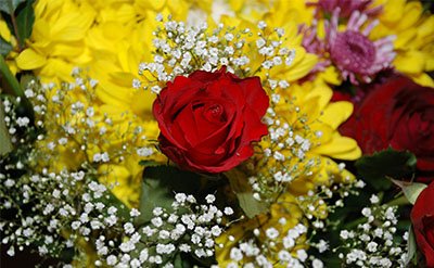 geranyl-acetate Geranyl Acetate