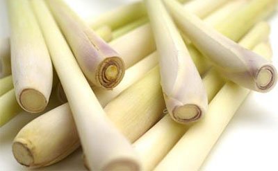 Lemongrass Essential Oil