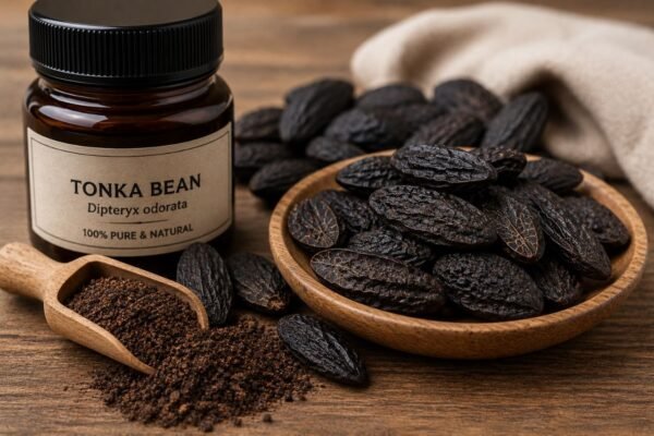 Tonka Bean Absolute 10% in DPG