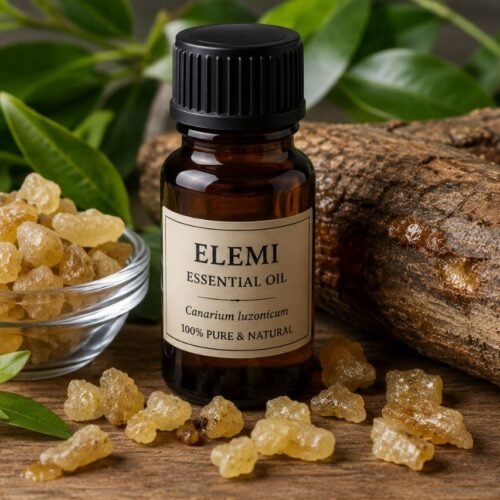 Elemi Oil