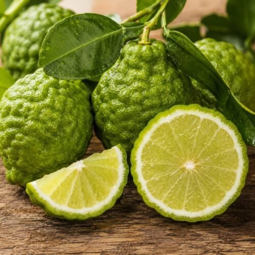 Bergamot Reggio