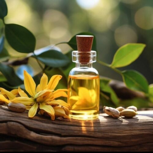 YLANG YLANG 1ST