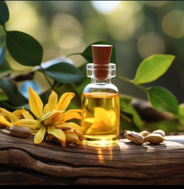 YLANG YLANG 1ST